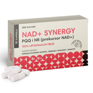 NAD + Synergy